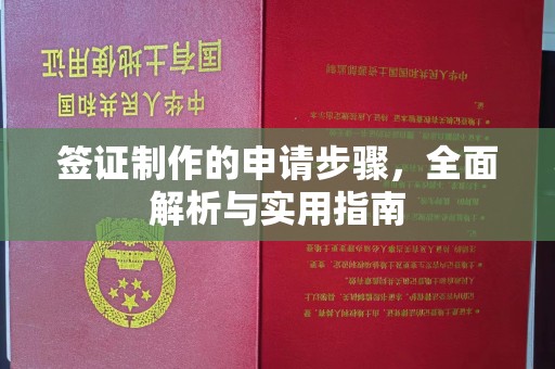天柱签证制作的申请步骤，全面解析与实用指南